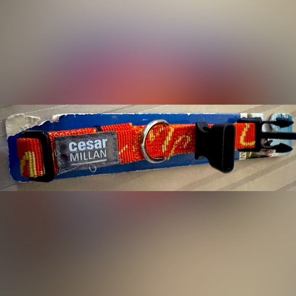 Cesar Millan Other - NWT Cesar Millan medium collar 14-20” in orange